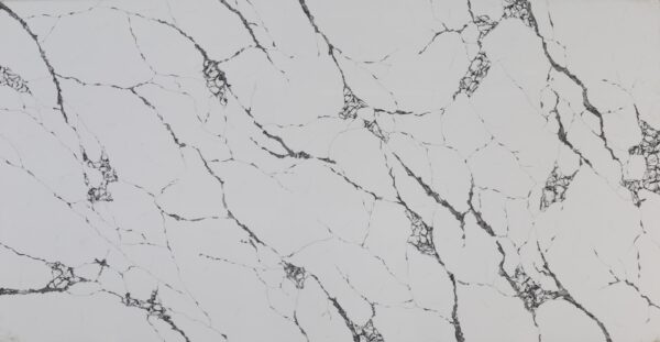 Calacatta Vega (BookMatched)